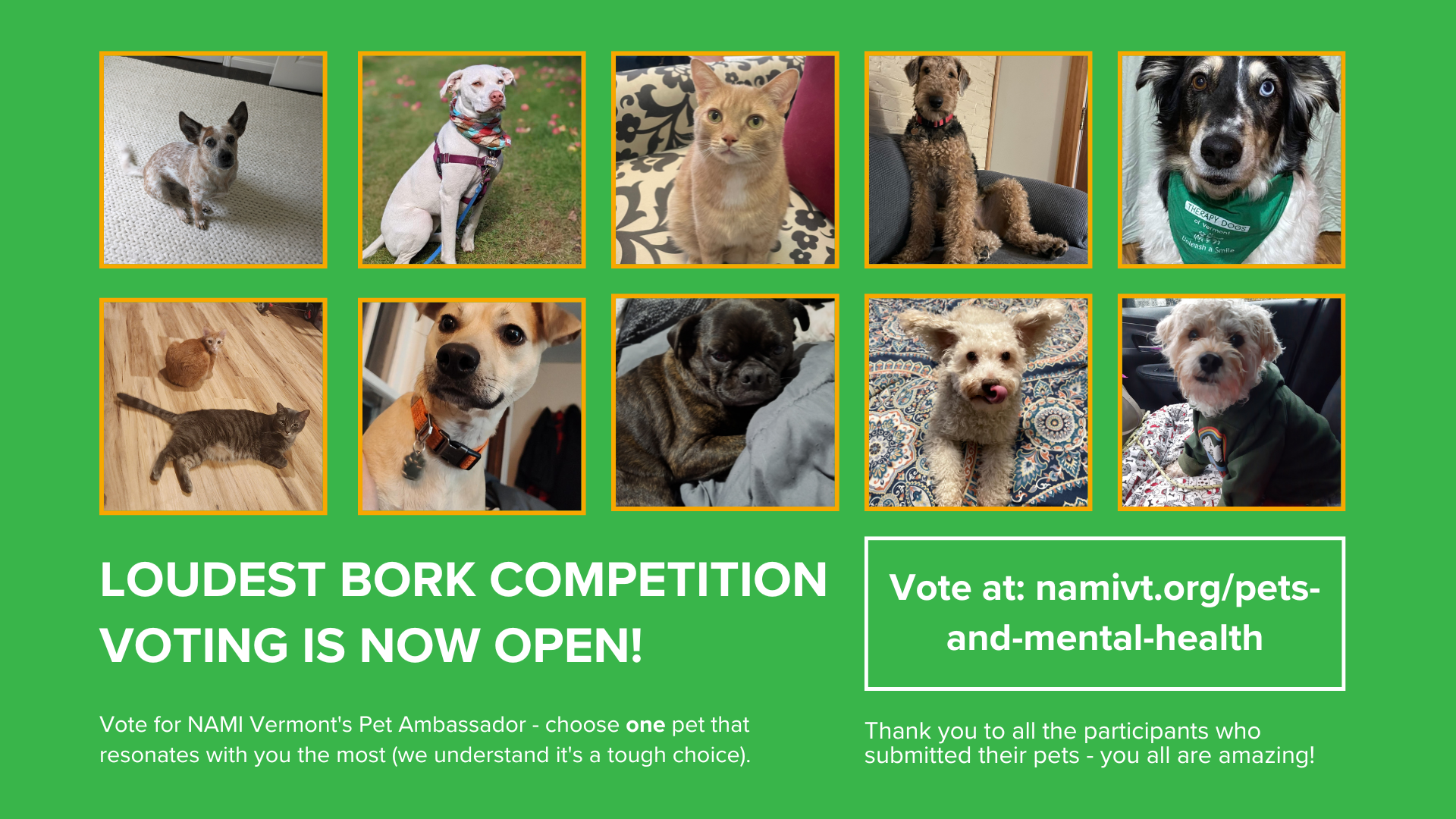 loudest bork competition banner