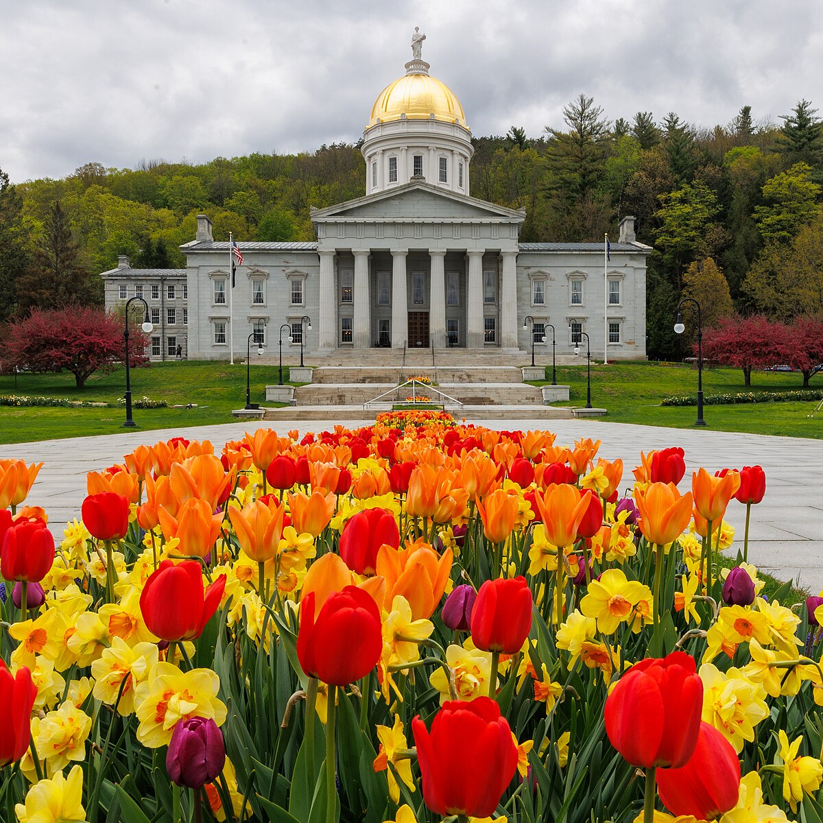 nami vermont mental health advocacy day